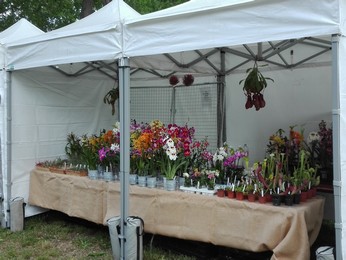 "Village nature et environnement" à Antony